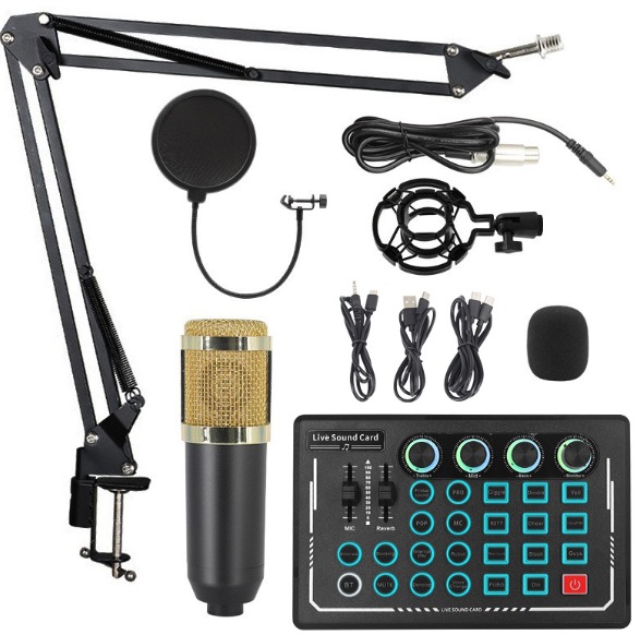BM 800 Microphone Set