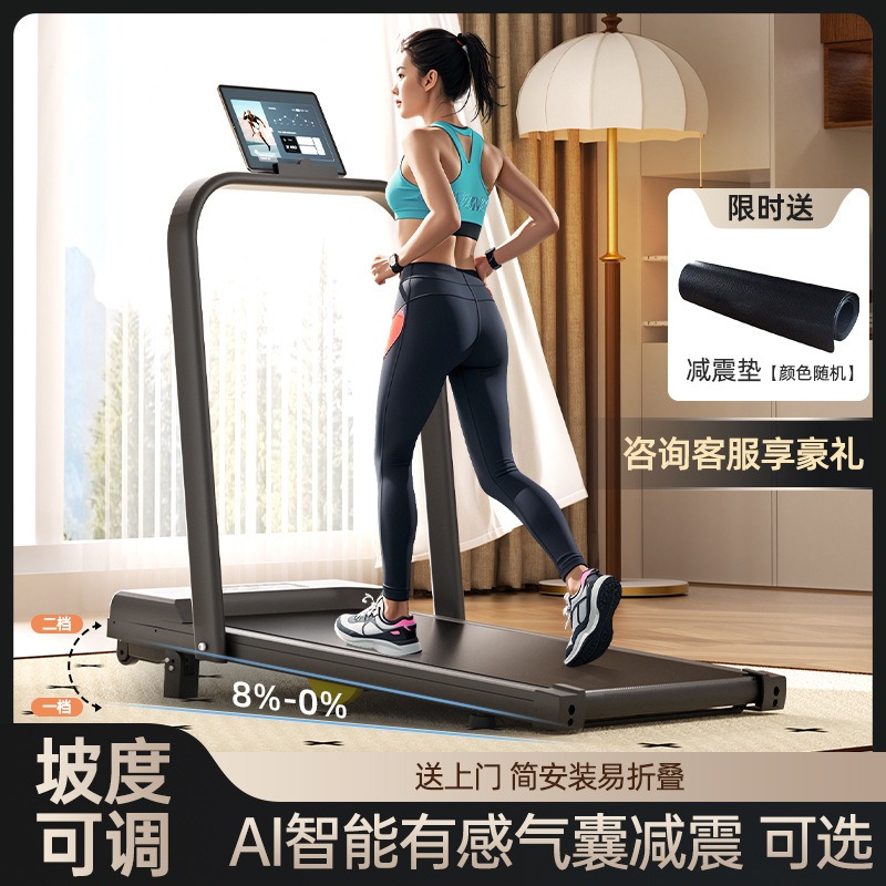 Folding Electric Treadmill